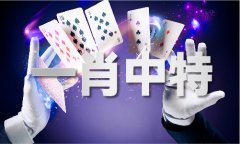 <b>这些担心包罗能否存正在查税</b>